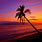 Hawaii Beach Sunset iPhone Wallpaper