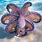 Hawaiian Octopus