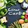 Healthy Low Carb Diet