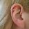 Helix Cartilage Hoop Earrings