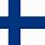 Helsinki Flag