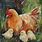 Hen Painting