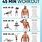Home Gym Workout Routine