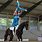 Horse Jumping Gymnastics