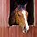 Horse and Barn Painting