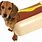 Hot Dog Puppy