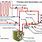 Hot Water Boiler System Diagram