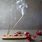 How to Burn Incense