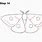 How to Draw Moth Wings