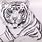 How to Draw White Tiger