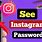 How to See Instagram Password