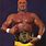 Hulk Hogan WWE Belt