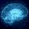 Human Brain Animation GIF