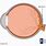 Human Eye Optic Nerve