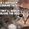 Humorous Cat Memes