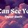 I Can See You Lyrics