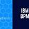 IBM Process Portal