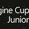Imagine Cup Junio