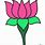 India Lotus Flower Drawing