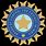 Indian Cricket Team Symbol