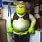 Inflatable Shrek Costume