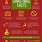 Interesting Christmas Facts