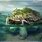 Island Turtle Mythology