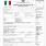 Italy Work Visa Application Form