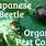Japanese Beetle Control