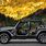 Jeep Wrangler without Top