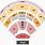 Jiffy Lube Live Bristow VA Seating-Chart
