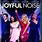 Joyful Noise DVD