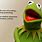 Kermit Frog Quotes