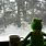 Kermit Looking Out of Rainy Window