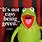 Kermit the Frog Sayings