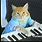 Keyboard Cat Drawing
