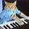 Keyboard Cat Picture