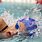 Kids Competitive Swimming