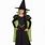 Kids Wicked Witch Costume
