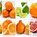 Kinds of Oranges
