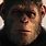 Kingdom of the Planet of the Apes Plot