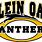 Klein Oak Panthers