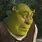 Know Your Meme Shrek