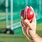 Knuckle Ball Cricket Grip