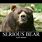 Kodiak Bear Meme