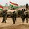 Kurdish Army