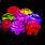 LED Rose Lights