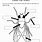 Label an Insect Worksheet