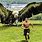 Largest Eagle On Earth