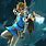 Legend of Zelda Breath of Wild Link